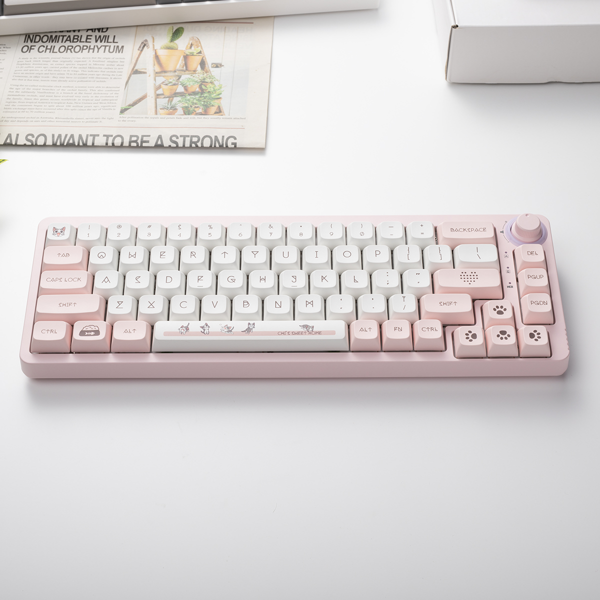 TM680 Hot Swap Mechanical Keyb - Hot Swap Pcb ulasan dan harga