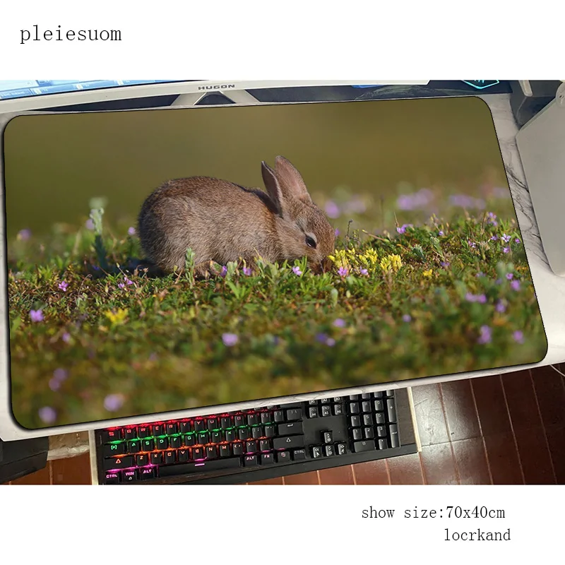 Rabbit cute mouse pad best mou - Gaming Keyboard Best ulasan dan harga